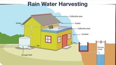 catchment rainwater harvestingRemove term: modern water harvesting techniques modern water harvesting techniquesRemove term: rain water harvesting methods ppt rain water harvesting methods pptRemove term: rooftop rainwater harvesting rooftop rainwater harvestingRemove term: surface runoff harvesting surface runoff harvestingRemove term: surface runoff rainwater harvesting methods surface runoff rainwater harvesting methods